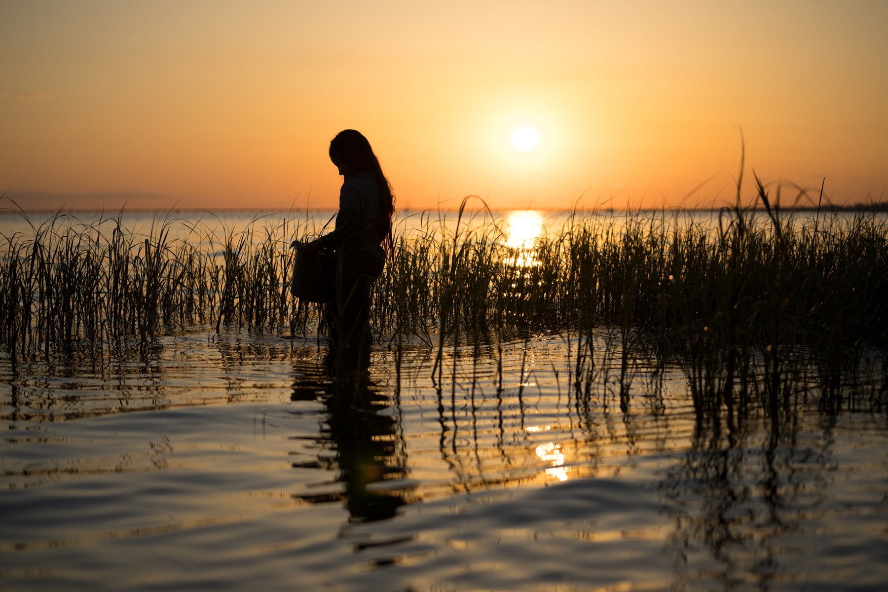 Kya standing in the marsh at sunset in Where the Crawdads Sing