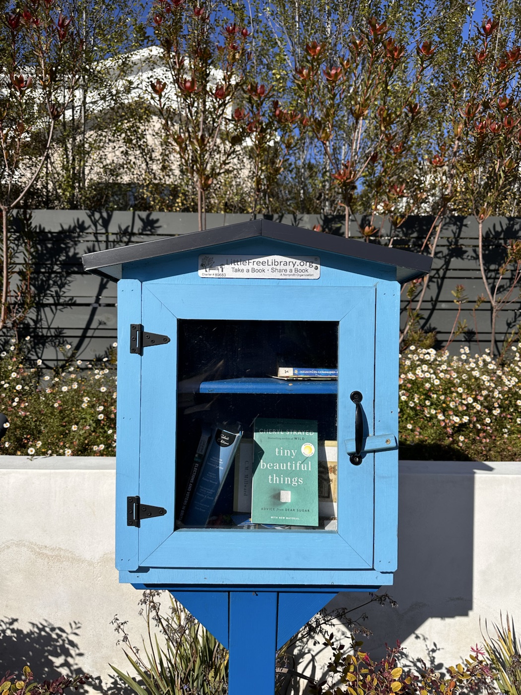 A blue Little Free Library stocked with copies of Tiny Beautiful Things.